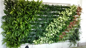 張掖雨林生態植物墻